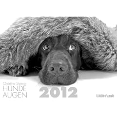 Hundeaugen 2012