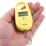 Pligh(TM)LCD Display Electronic 2014 New Mini Digital Hanging Luggage Fishing Weighing Scale Weight Balance Scales 25kg x 5g