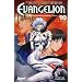 Neon Genesis Evangelion, Tome 10 : Larmes