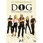 Dog The Bounty Hunter: To Seize and Protect