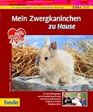 Mein Zwergkaninchen zu Hause: Von den Überlegungen von der Anschaffung, bis zum verantwortungsbewussten Umgang mit einem Zwergkaninchen
