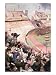 The Berlin Olympic Games, from Berliner Illustrite Zeitung, 1936 Art Giclee Poster Pr...