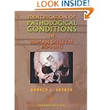 Buy Identification of Pathological Conditions in Human Skeletal Remains, Second... by Donald Ortner