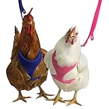 Chicken Harness (Blue, Medium)