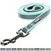 Pawtitas 6 FT Padded Dog Leash with Comfortable Neoprene Padding Handle - Teal Lead | Reflective Dog Leash with Highly Reflective Band Perfect for Extra Small and Small Dogs and Puppies