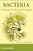 Bacteria: The Benign, the Bad, and the Beautiful