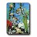 3D Lenticular Magnet - AQUARIUM 2