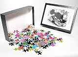 Photo Jigsaw Puzzle of Shadow drawing. C.H. Bennett, Ape-ing the Fashion from Mary Evans
