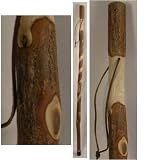 Twisted Sassafras Walking Stick