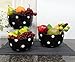 Set of 3 POLKA DOTS Red Ceramic Mixing Bowls, 82169 By ACK (Black)