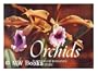 Orchids: Flowers of Romance and Mystery