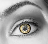 Coloured Contact Lenses by Magic Color (3 Months) - FREE lense case - Glamorous Honey Brown