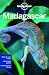 Lonel Madagascar & Comoros (Lonely Planet Madagascar)