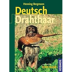 Deutsch-Drahthaar