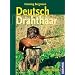 Deutsch-Drahthaar