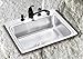 Elkay LRADQ2219550 Sink, lustertone