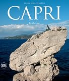 Capri by the Sea image