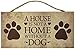 A House Is Not a Home Without a Dog 5