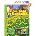 From Seed to Dandelion (Scholastic News Nonfiction Readers: How Things Grow)