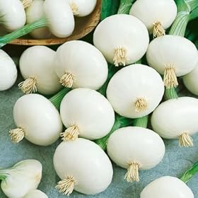 White Wax Onion - 200 Seeds