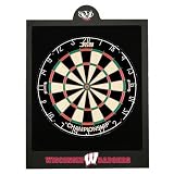 Wisconsin Badgers Darts Backboard