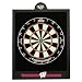 Wisconsin Badgers Darts Backboard