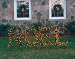 Huge Evergreen Noel Lighted Topiary Bush 30"H x 80"W By GKI #179631