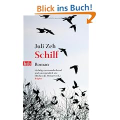 Schilf: Roman