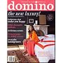 Domino, November 2008 Issue