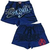 Aerosmith blue boxer briefs liquid logo 