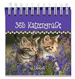 365 Katzengrüße