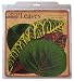 EuroQuest Imports Tropical Deco Parchment Leaves, Package of 20