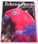 Eclectus Parrots: An Experience