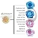 Palkia: Pokemon Battle Wheel Battling Tops [One Shooter and One ~1