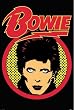 David Bowie - Personality / Music Poster (Retro Look) (Size: 24" x 36")