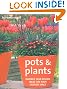 Pots and Plants: Inspired Year-round Ideas for Your Outside Space