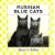 Russian Blue Cat (Cats Set II)