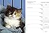 2016 What Cats Teach Us Engagement Calendar