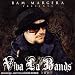 Viva la Bands Vol.2