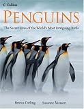 Penguins
