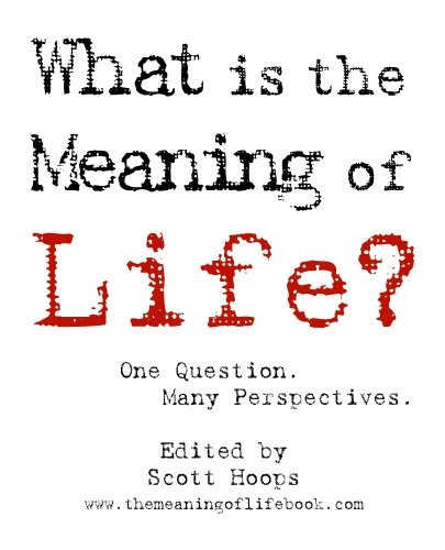 What is the Meaning of Life?: One Question. Many Perspectives.