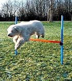 Agility - Hrde