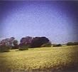 Buy Sun Kil Moon – Benji New or Used via Amazon