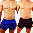 Mens New Windsurfer Trunk Swimsuit Boxer Gary Majdell Sport