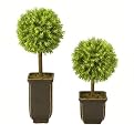 Springeri Faux Topiaries in Planters Set of 2 - Green