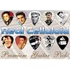 Elvis Presley Premium Gitarre Plektren X 10 (C)