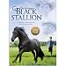 Search : The Adventures of the Black Stallion. Season One, Volume One.