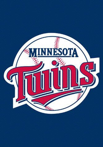 Minnesota Twins Window Flag