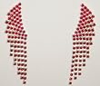 Red Austrian Crystal Earrings