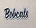 Bobcats - Black/White - Team Mascot - Words/Names - Iron on Applique/Embroidered Patch